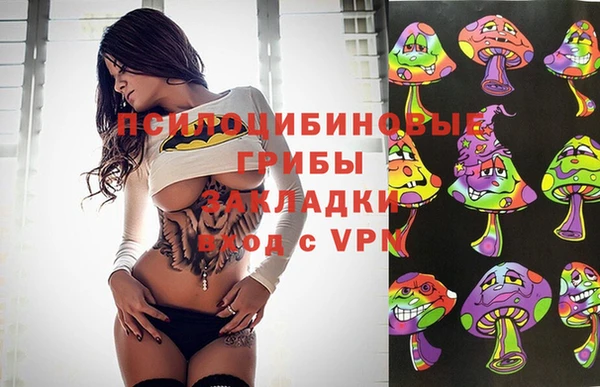 скорость Гусев