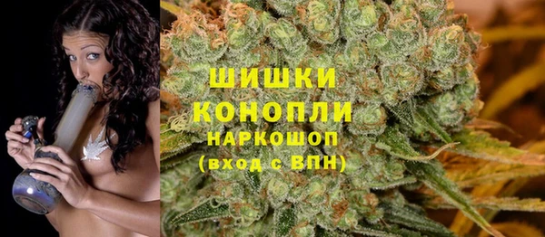 скорость Гусев