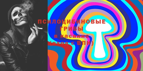 spice Гусиноозёрск