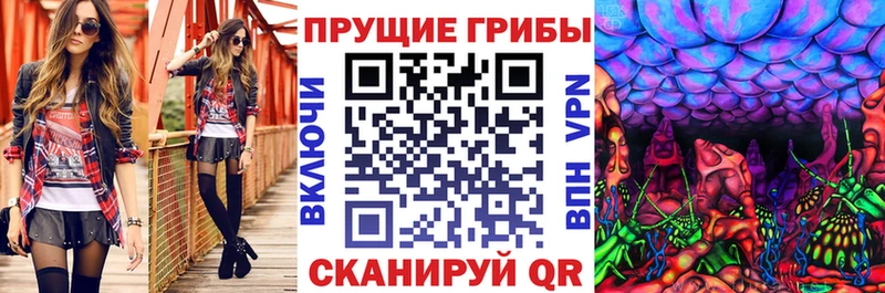 Купить закладки  Лысково  Галлюциногенные грибы прущие грибы 