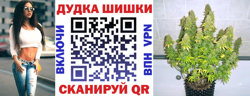 Каннабис сатива Лысково